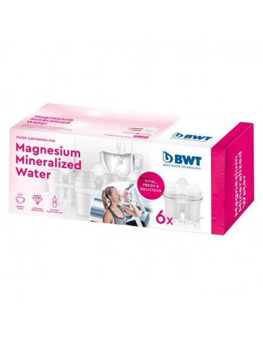 Magnesium Mineraliz 6-er Pack