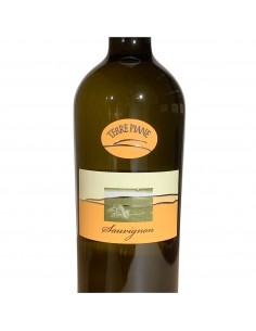 Sauvignon Lison Pramaggiore DOC 2