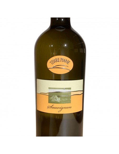 Sauvignon Lison Pramaggiore DOC
