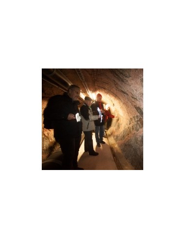Gutschein Geologische Exkursion für 2 Person