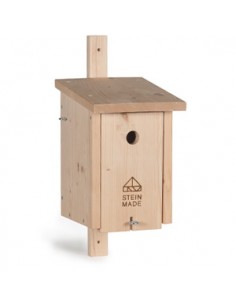 Kohlmeise, Trauer­schnäpper, Wendehals, Kleiber