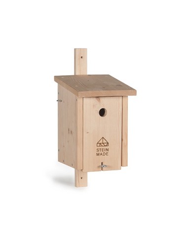 Kohlmeise, Trauer­schnäpper, Wendehals, Kleiber